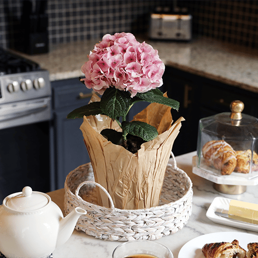 7IN Pink Single Stem Hydrangea Lifestyle